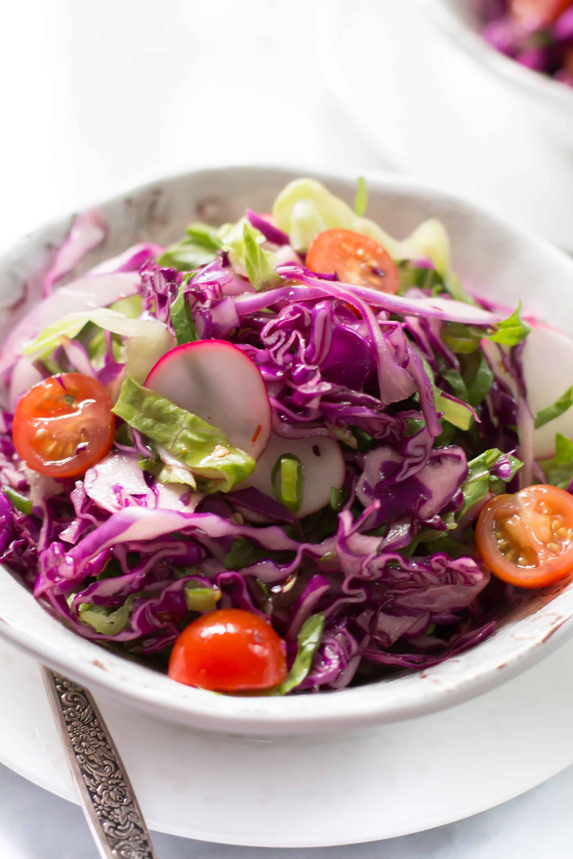 Quick Easy Red Cabbage Salad - Primavera Kitchen