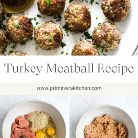 Titled Photo Collage (and shown): Turkey Meatball Recipe