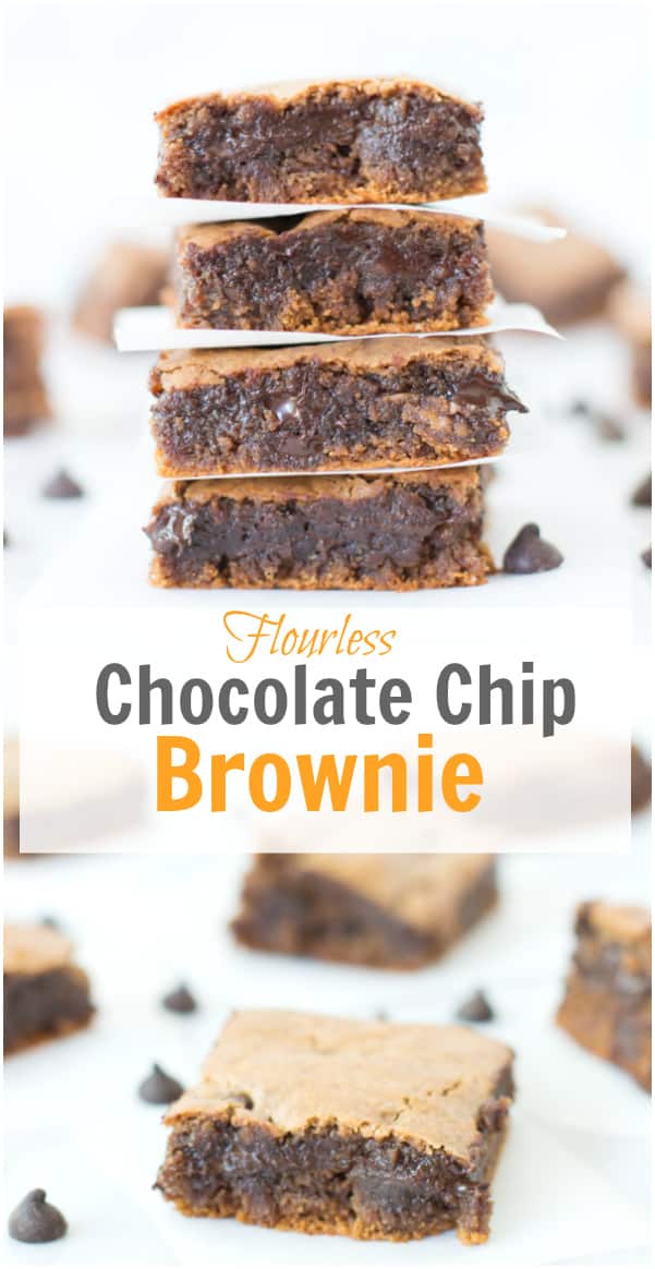 flourless chocolate chip brownie