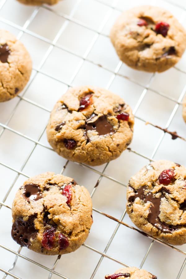  Cranberry Chocolate Chip Cookies