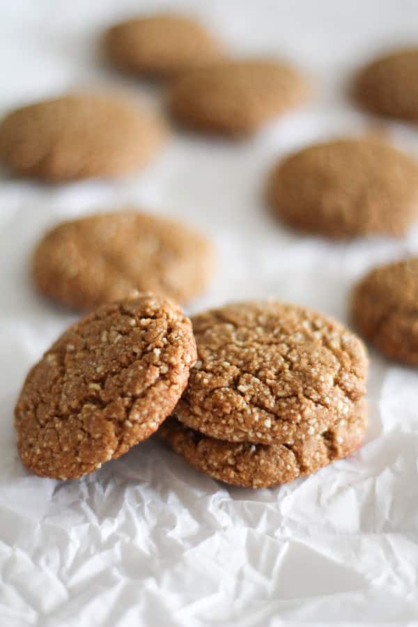 A photo of three paleo gingerbread cookies in focus.