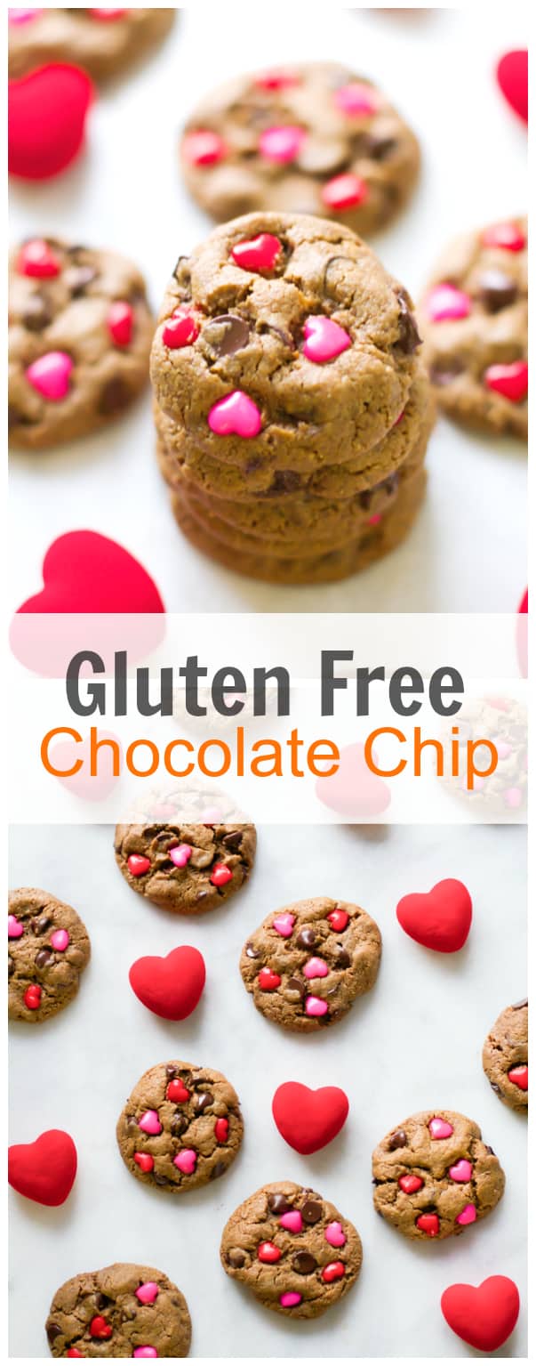 gluten free chocolate chip