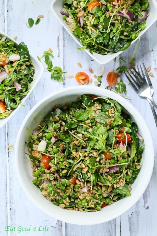 Multiple bowls of quinoa kale salad.