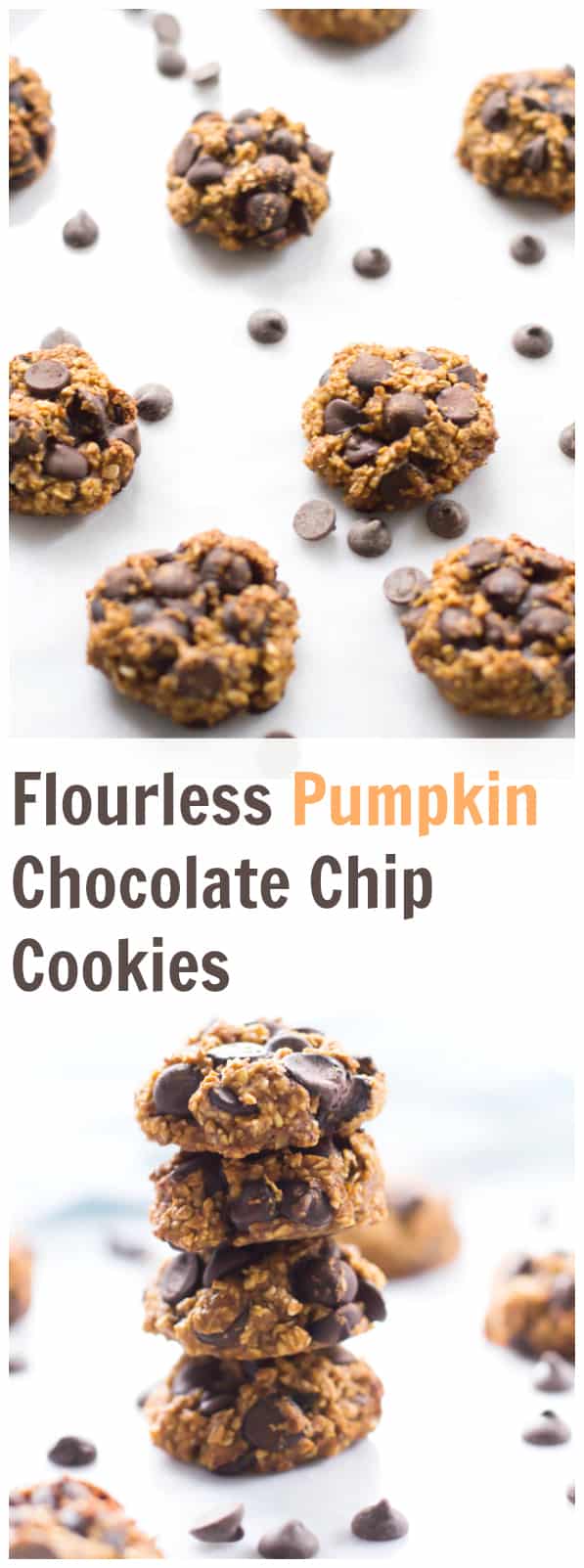 These flourless Pumpkin Chocolate Chip Cookies are healthier, gluten free, crisp on the outside, soft inside, delicious and super easy to make! This is my favourite cookies for fall. 