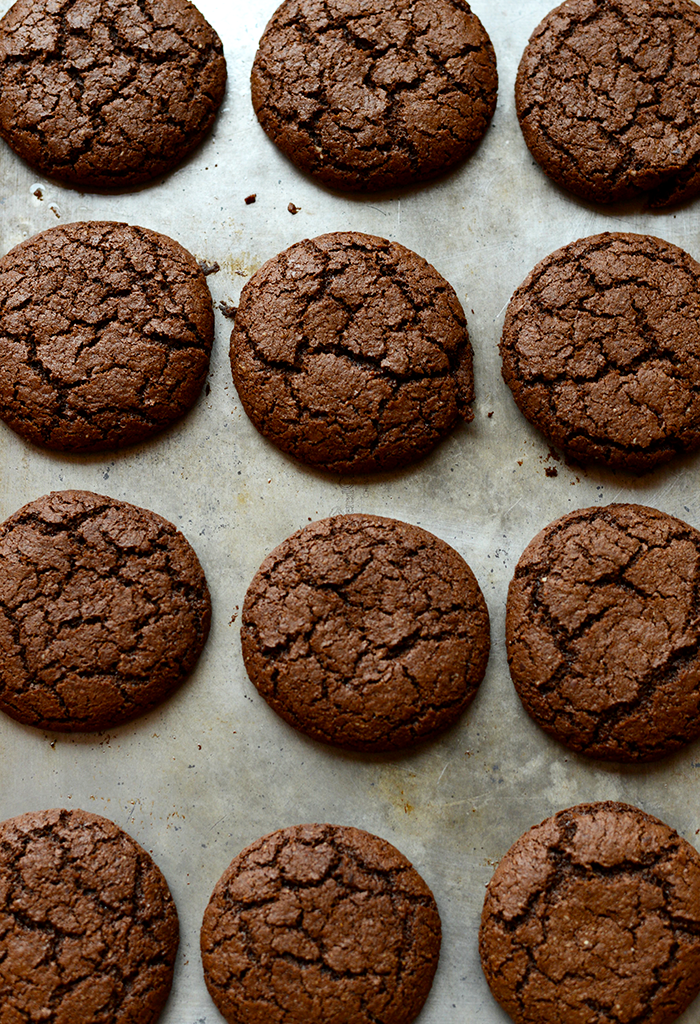 Gluten-free Chocolate Ginger Molasses Cookies.