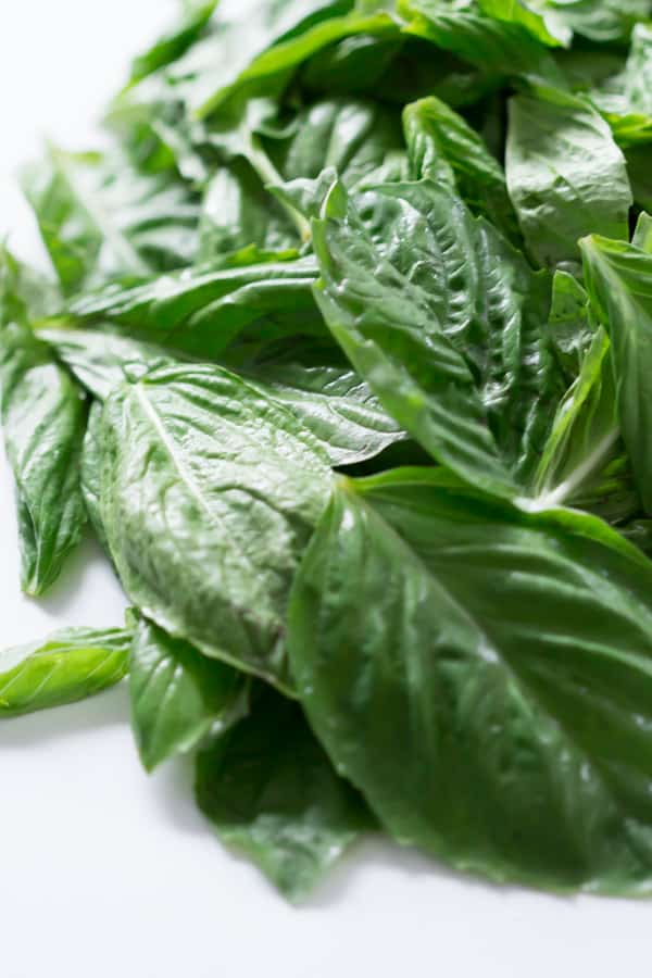 Homemade Basil Pesto Primavera Kitchen Recipe
