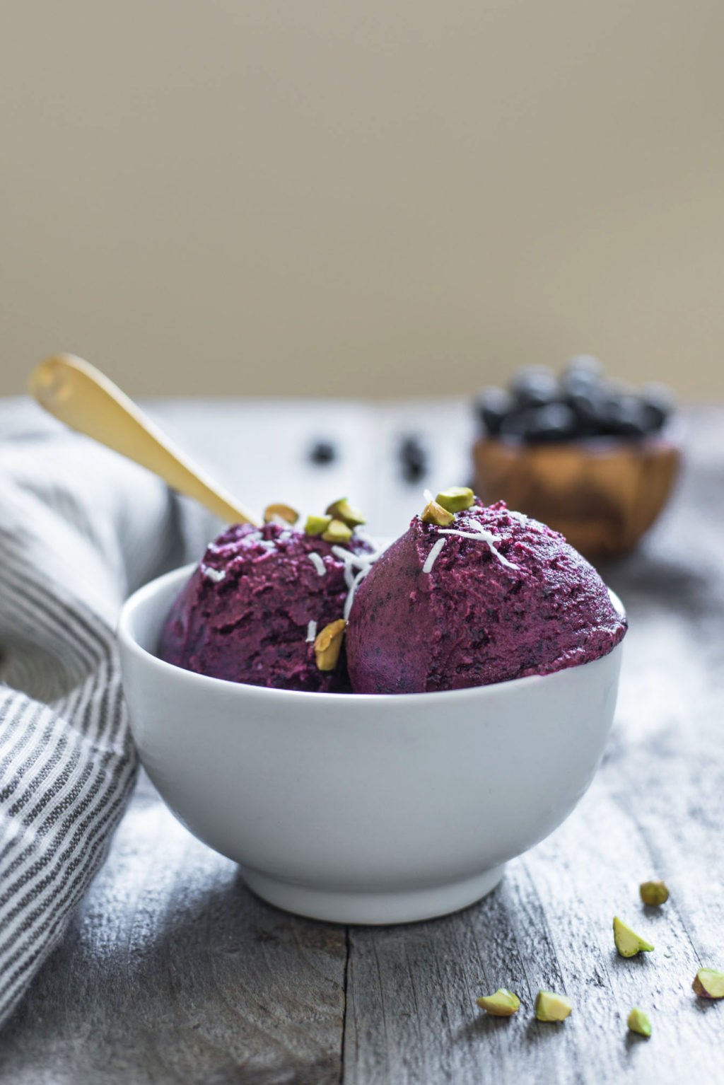 Blueberry-Frozen-Yogurt-8