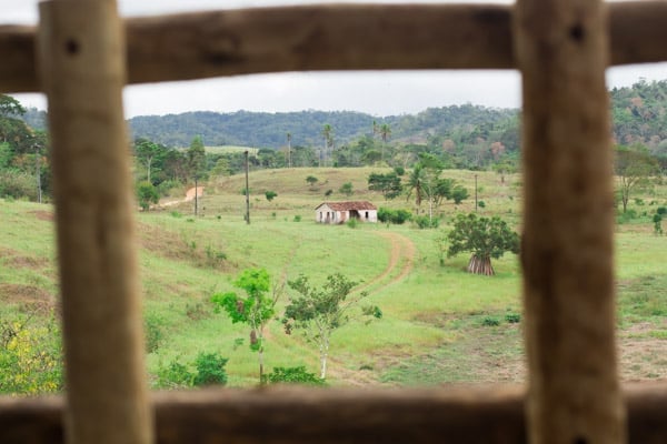 Origin of the June Festival - Friato Alimentos