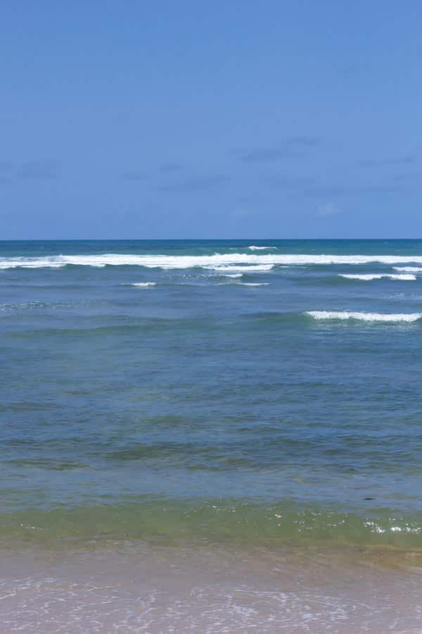 Life Beyond Cooking: Visiting Praia do Porte! This is a very beautiful and incredible beach to visit with your family in Brazil. 