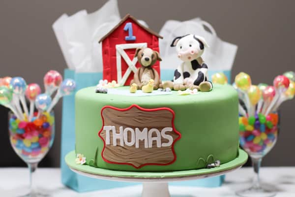 Life Beyond Cooking- Thomas' 1st Birthday-4