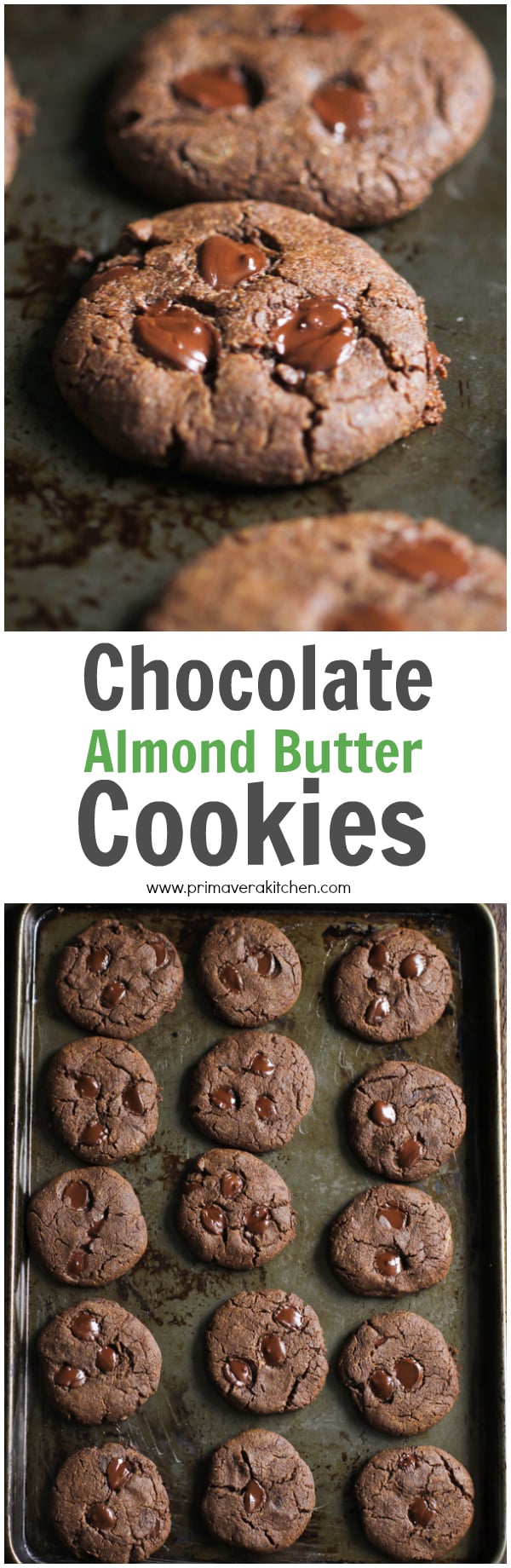 Chocolate Almond Butter Cookies - These gluten-free and Paleo Chocolate Almond Butter Cookies are made with few simple ingredients and it’s ready in 15 minutes. | www.primaverakitchen.com