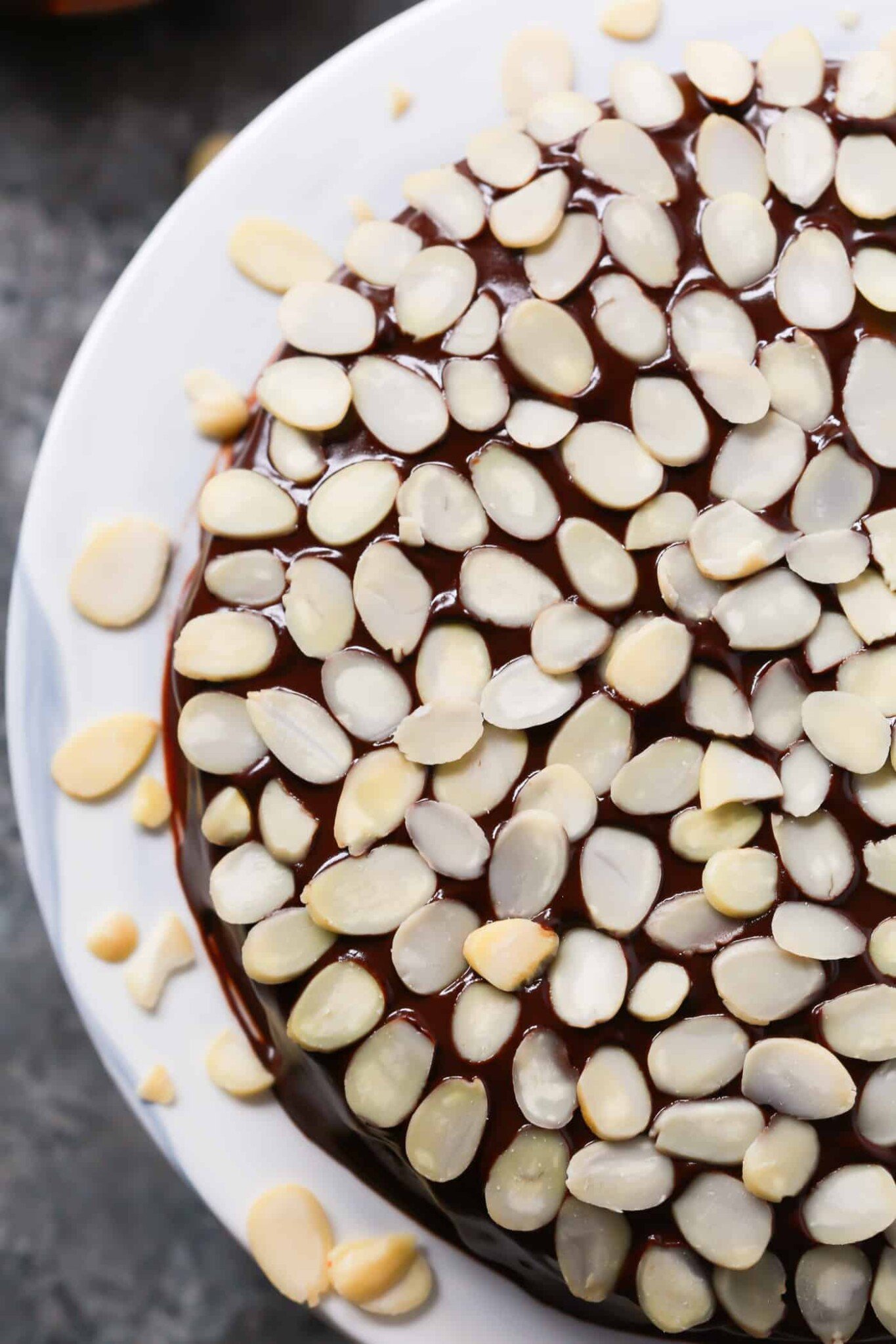 Lowcarb Almond Flour Chocolate Cake Primavera Kitchen