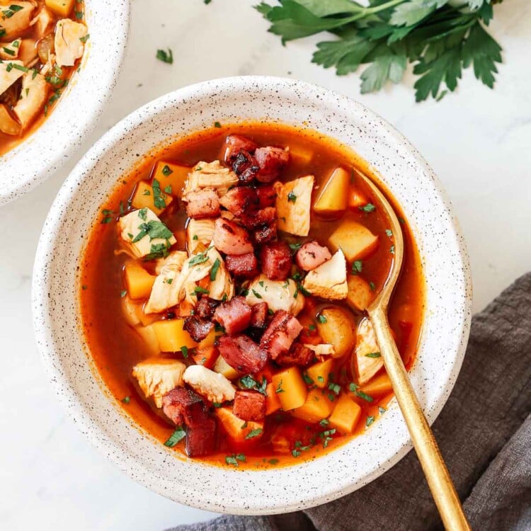 close up shop of a turkey soup bowl