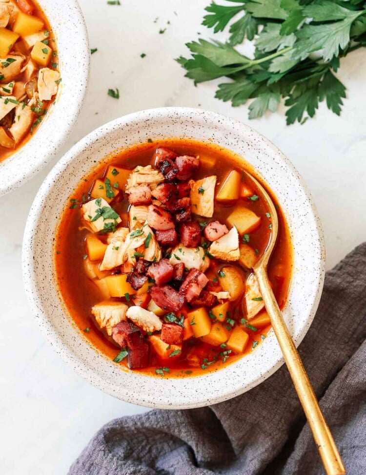 close up shop of a turkey soup bowl