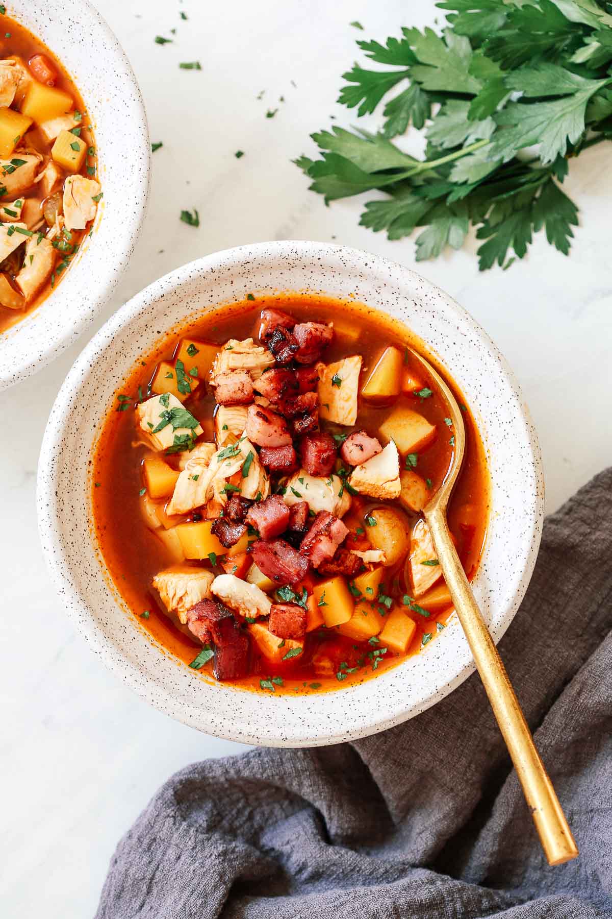 close up shot of a turkey soup bowl