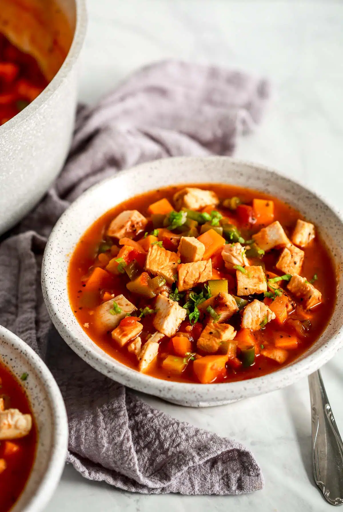 45 angle view of a bowl containing chicken vegetable soup
