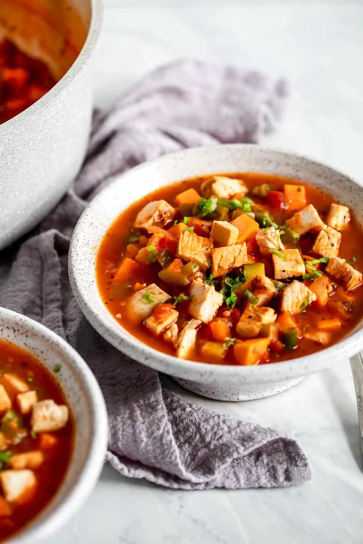 chicken vegetable soup in a bowl