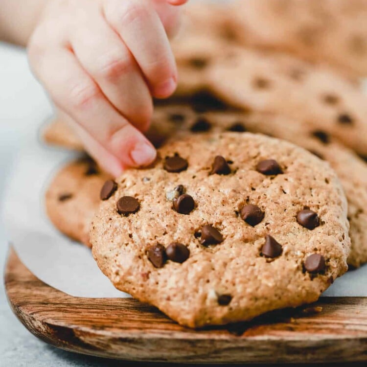 close up of a kid hand holding a chocolate chip cookie