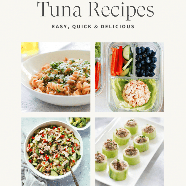 Titled Photo Collage (and shown): Canned Tuna Recipes
