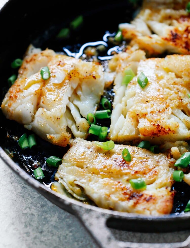close up of white fish fillets garnished with scallions cooking in cast iron skillet