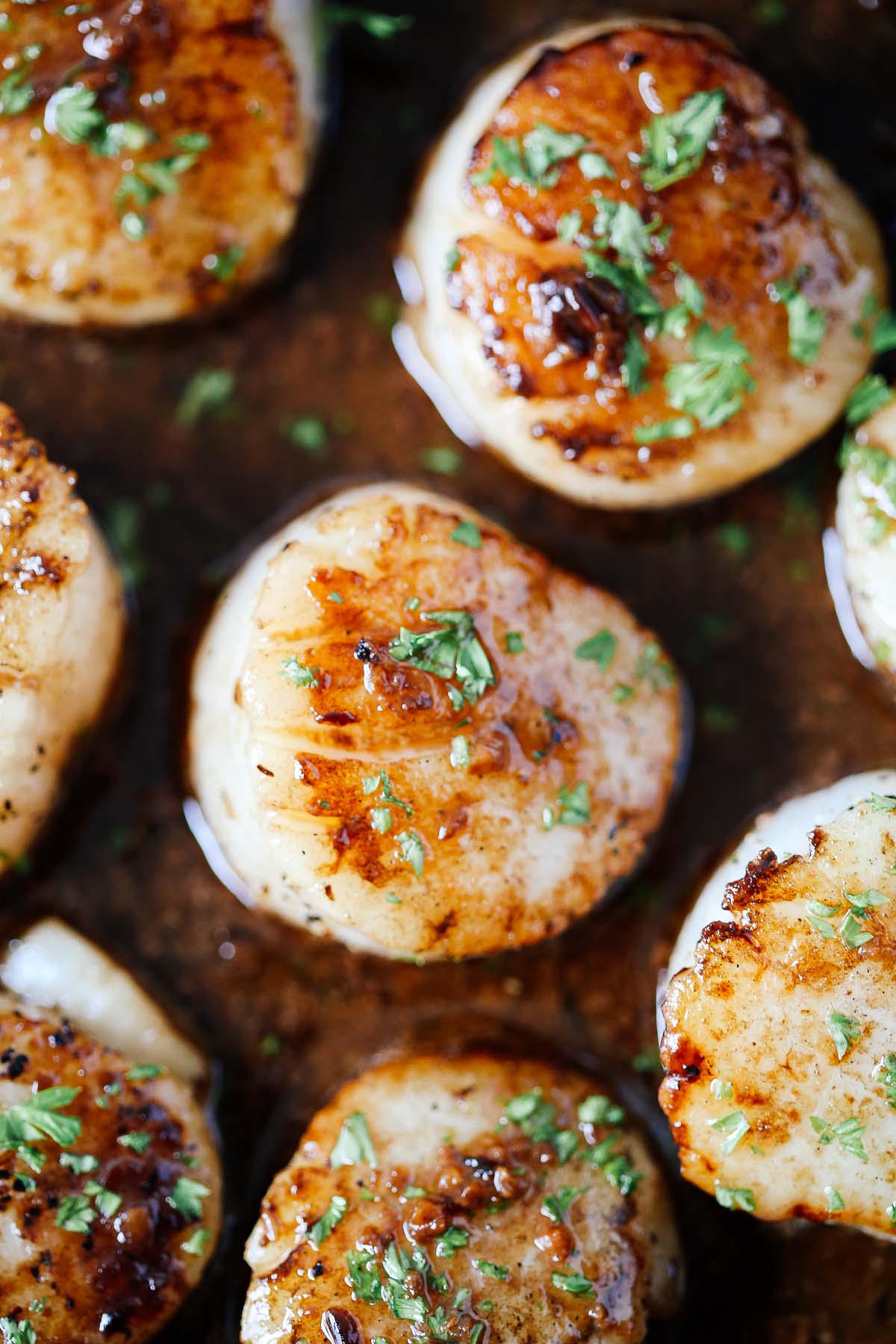 close up of garlic butter scallops recipe