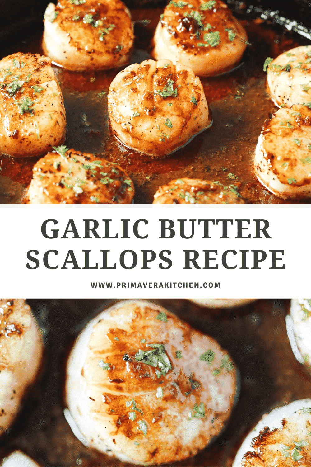 titled photo collage (and shown): garlic butter scallops recipe