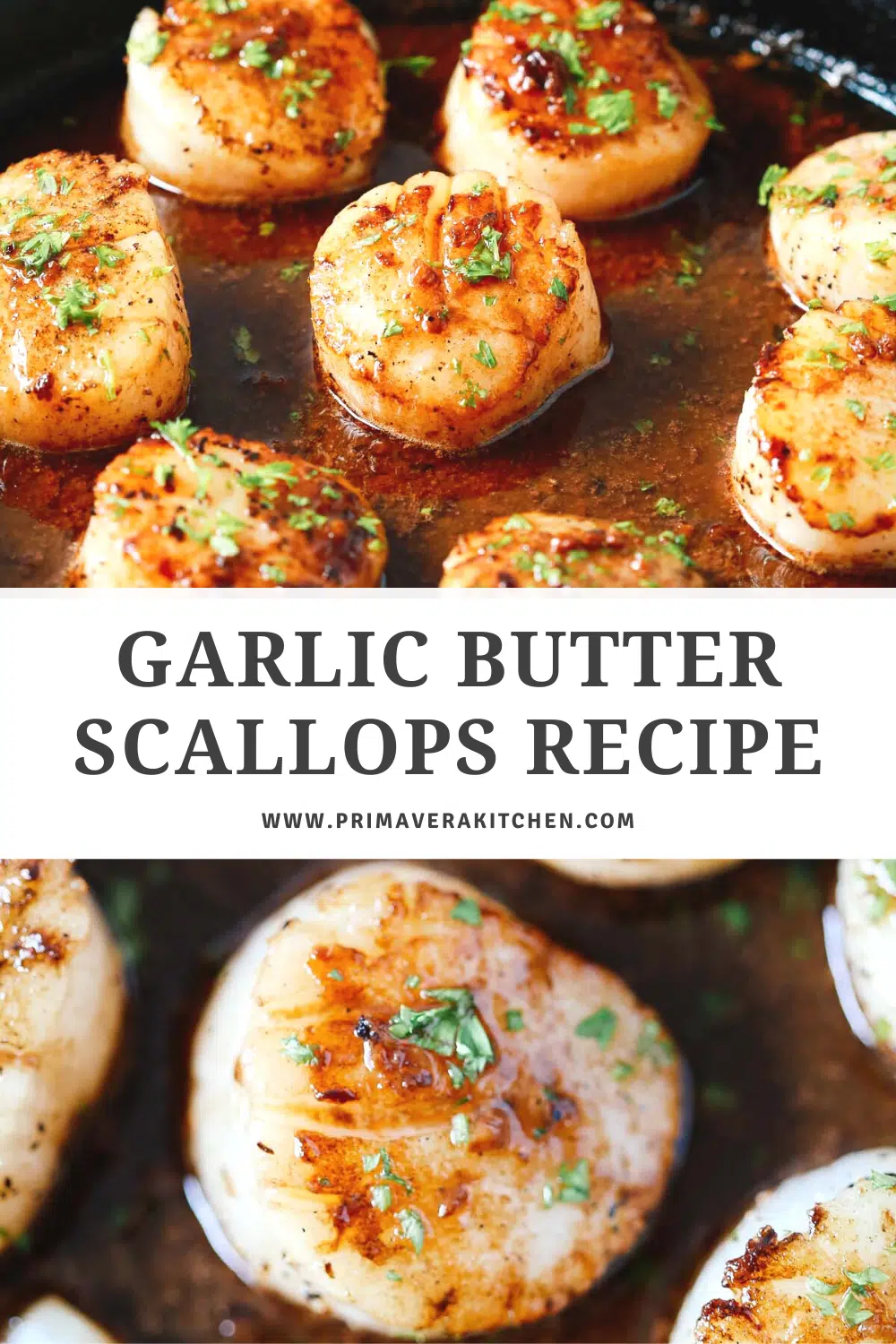 titled photo collage (and shown): garlic butter scallops recipe