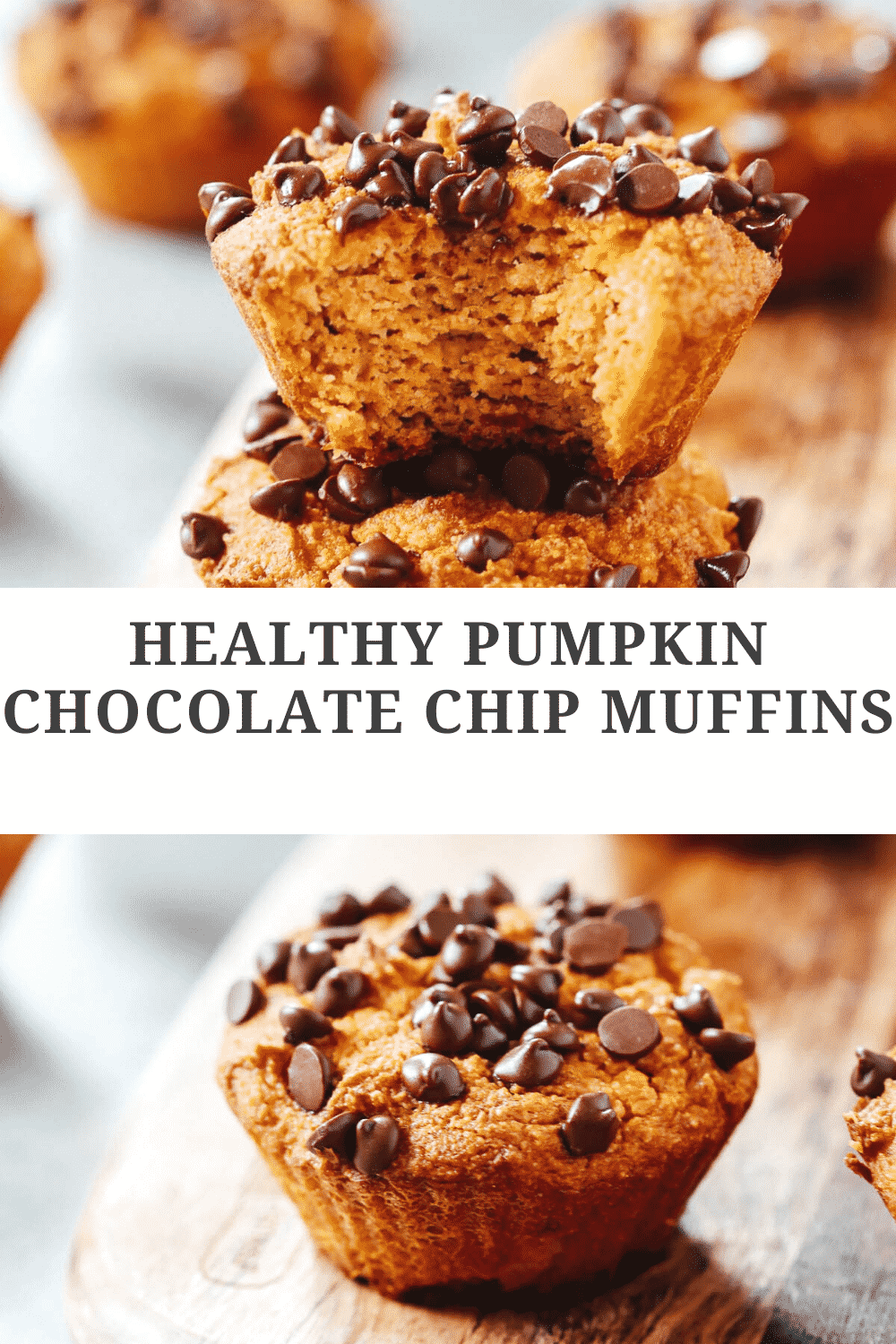 titled photo collage (and shown): healthy Pumpkin Chocolate Chip Muffins