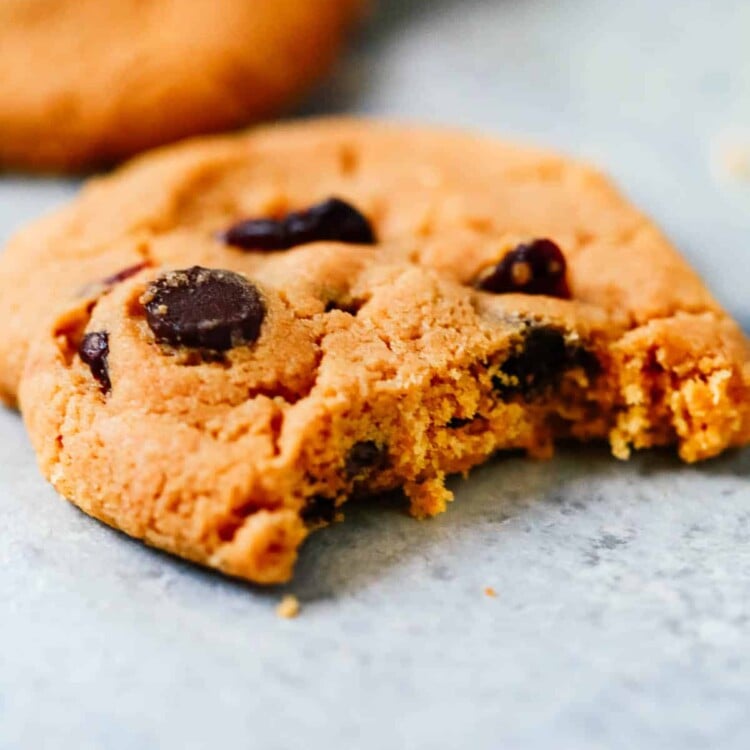 A close up of a single cranberry chocolate chip cookies with a bite taken out of it.