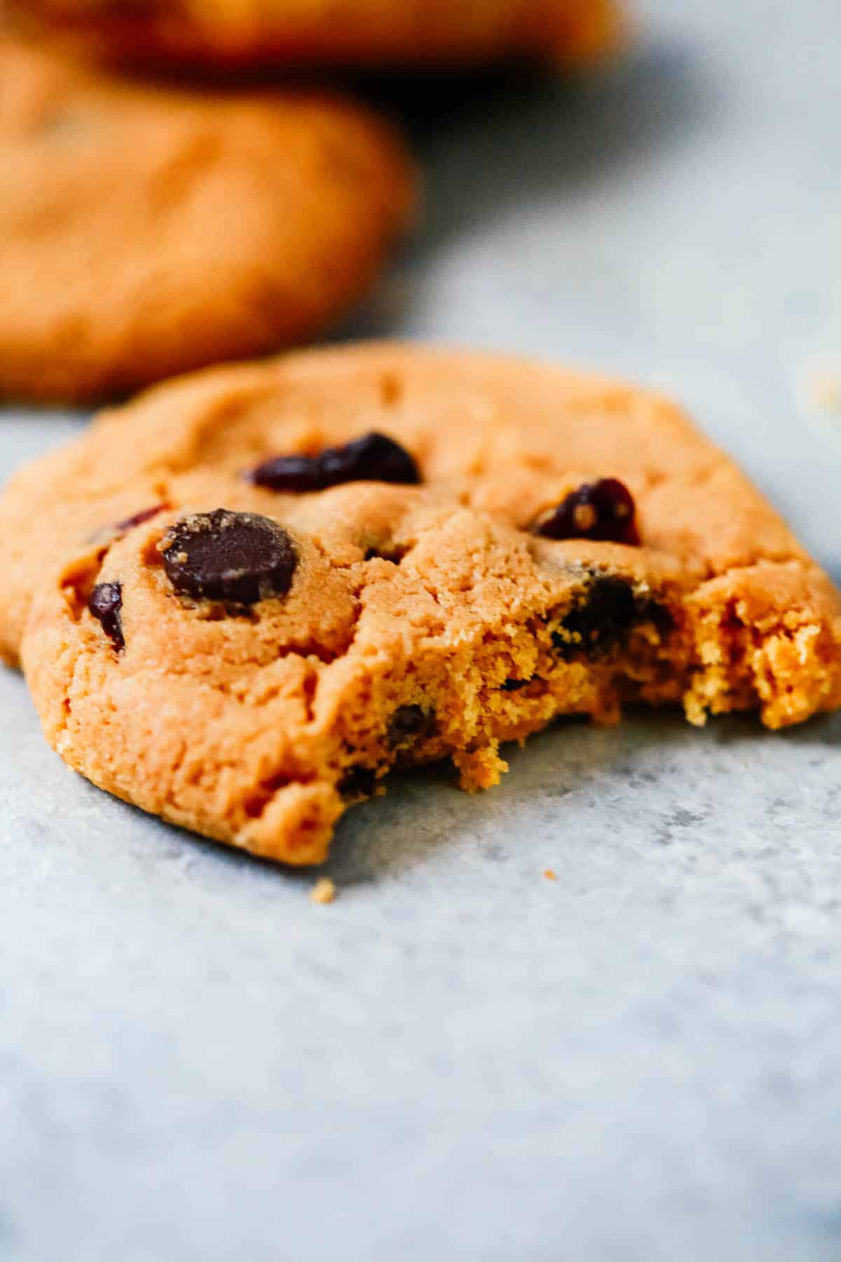 A single cranberry chocolate chip cookies with a bite taken out of it.