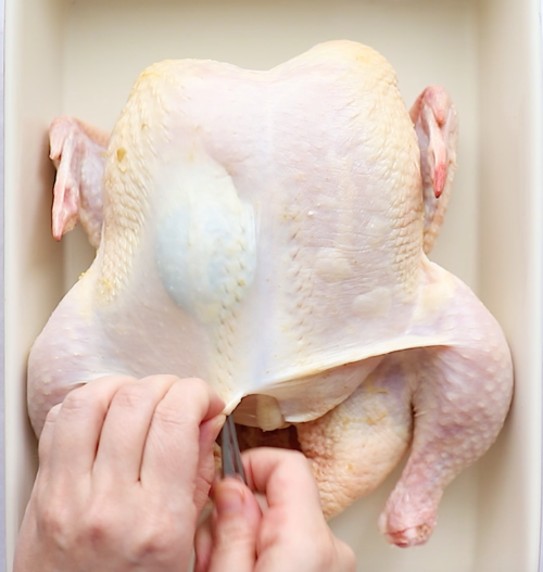 overhead view of a raw whole chicken