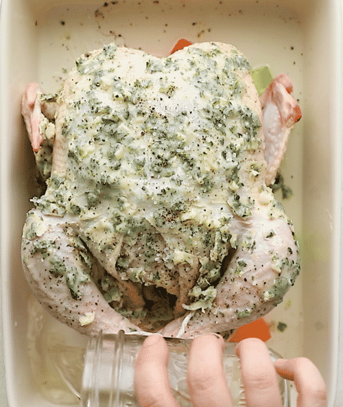 overhead view of seasoned whole chicken in a baking pan