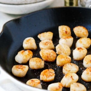closeup of seared scallops