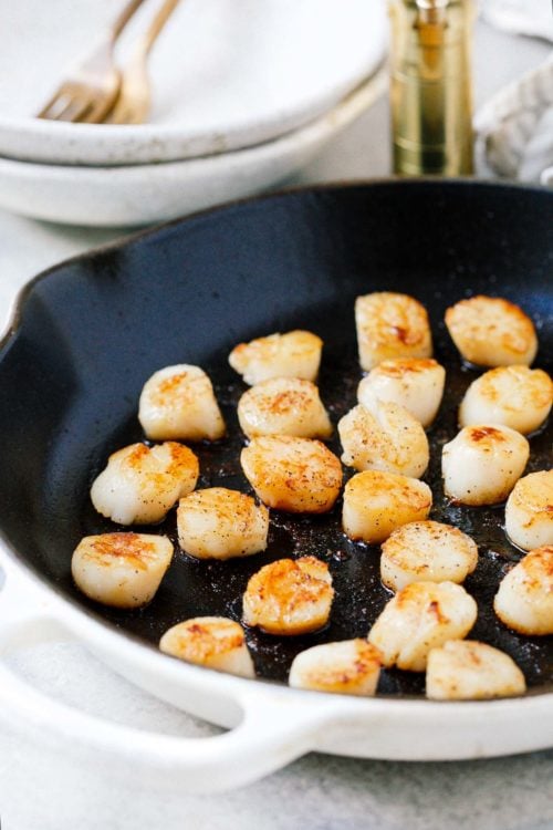 closeup of seared scallops