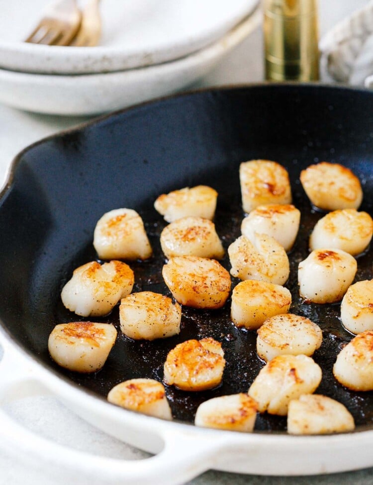 closeup of seared scallops