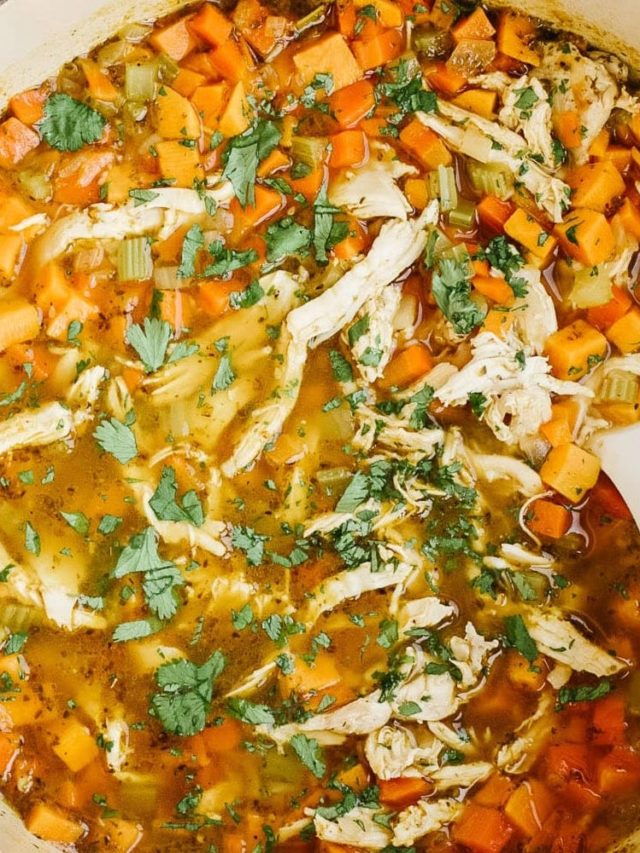 sweet potato and chicken soup close-up