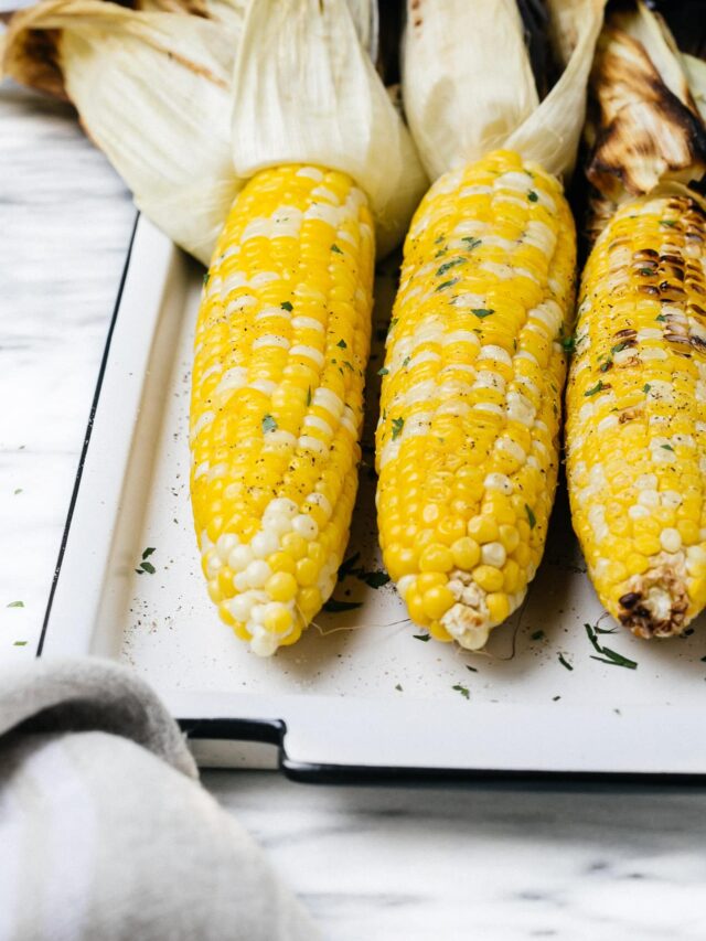 Closeup grilled corn on a cob on a white plate