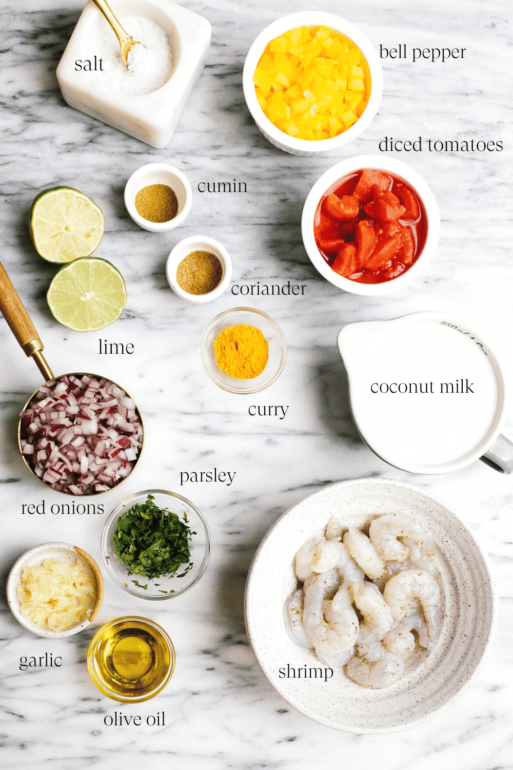 overhead view of the ingredients of the shrimp curry recipe