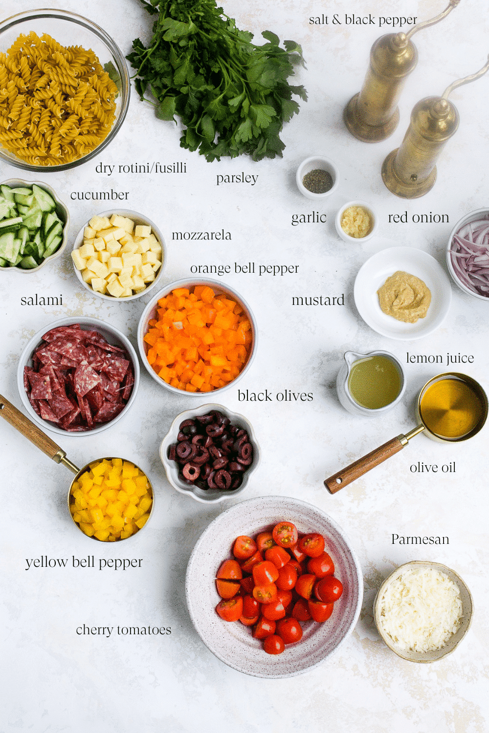 Overhead view of all the ingredients to make Italian Pasta Salad Recipe 