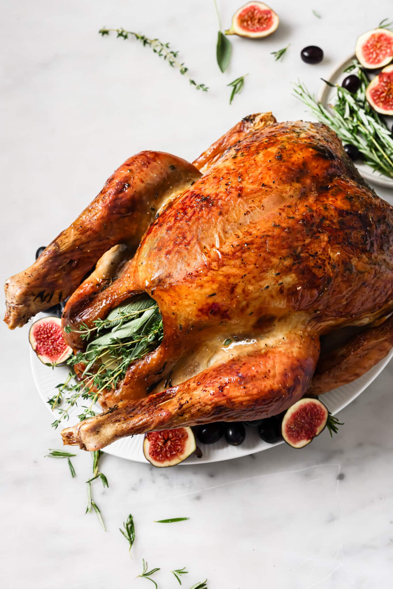 closeup view of thanksgiving turkey on a serving platter. 