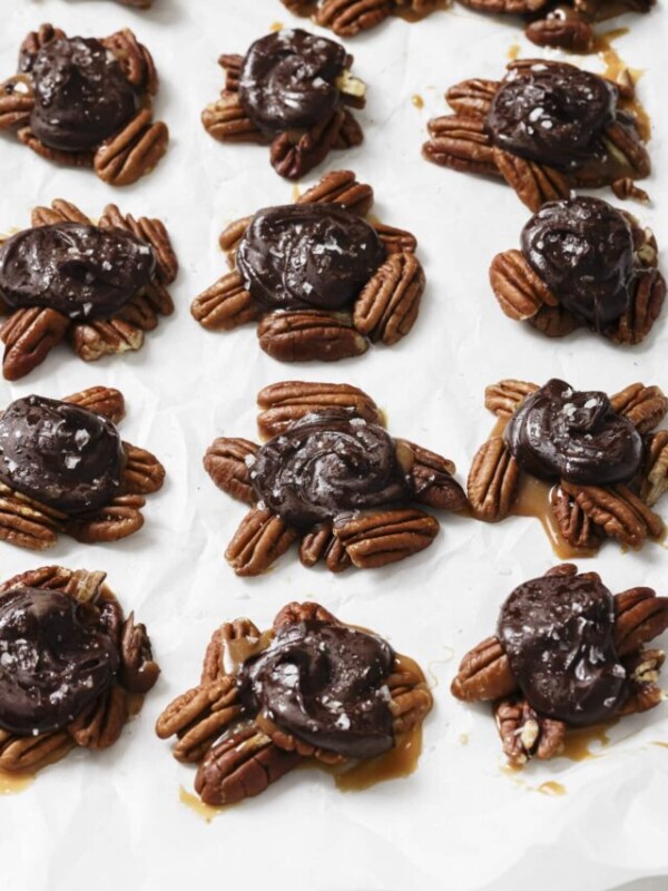 chocolate turtle
