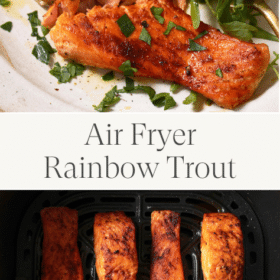 Titled Photo Collage (and shown): Air Fryer Trout