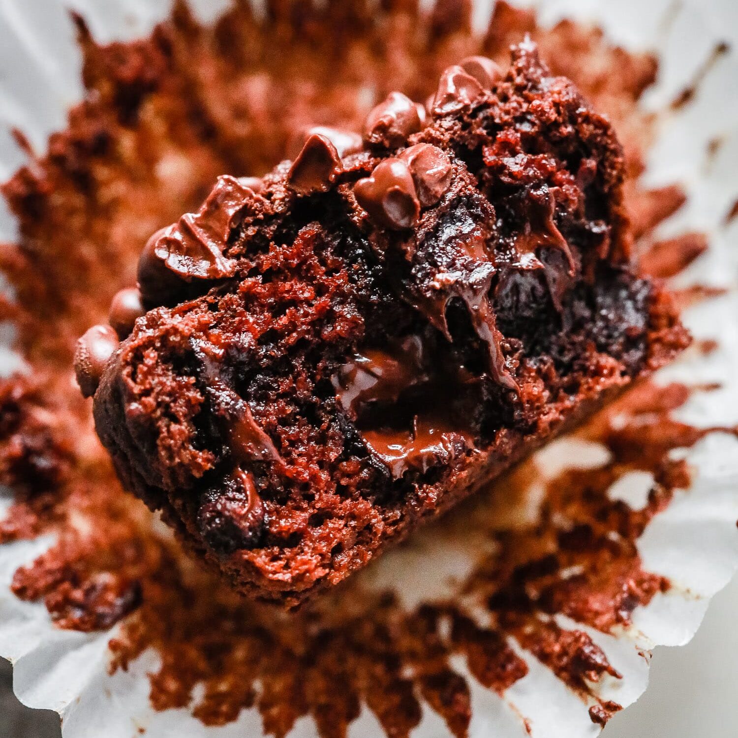 Overhead view of a chocolate muffin cut in half.