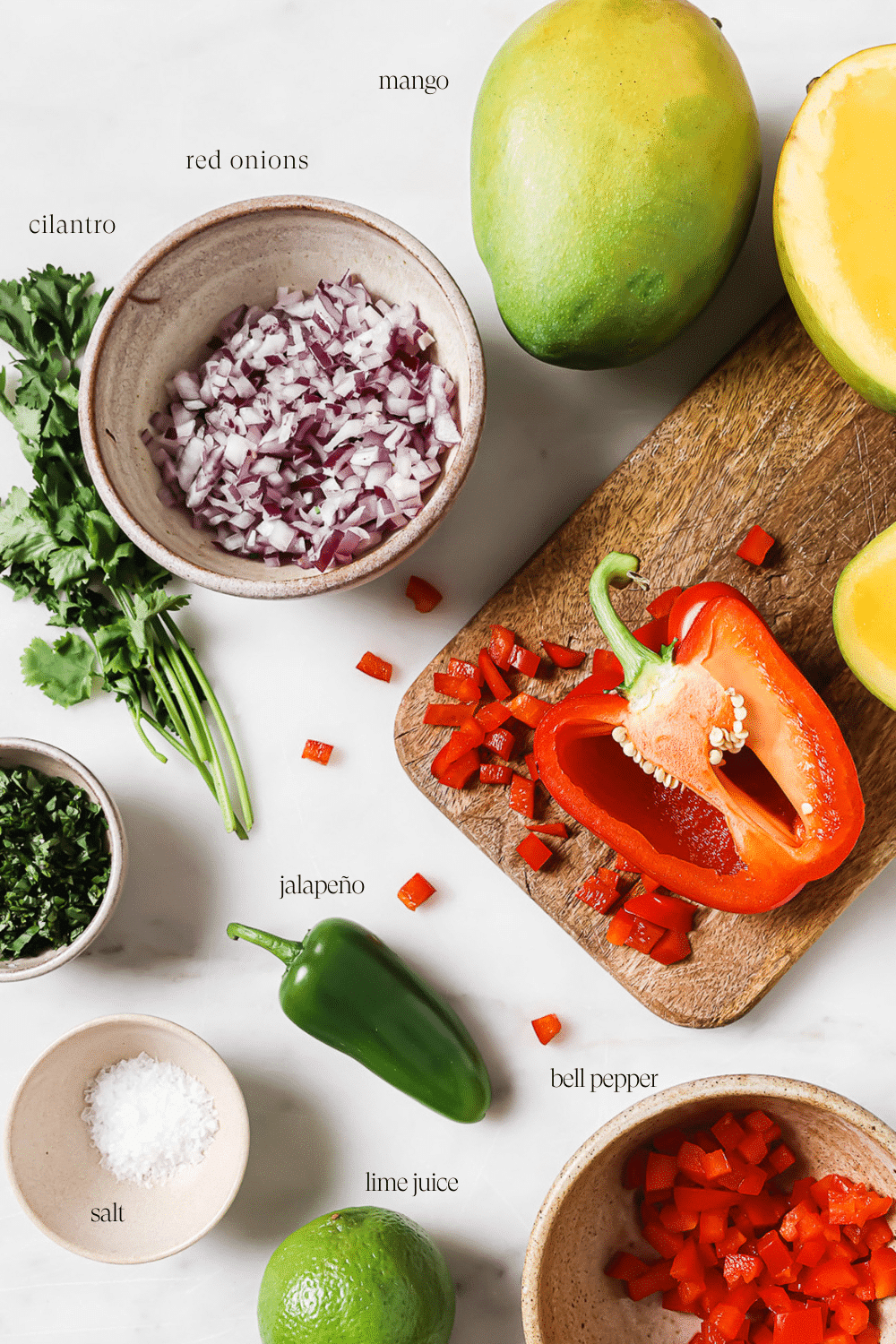 An overhead view of the ingredients displayed on a wooden cutting board and white countertop.