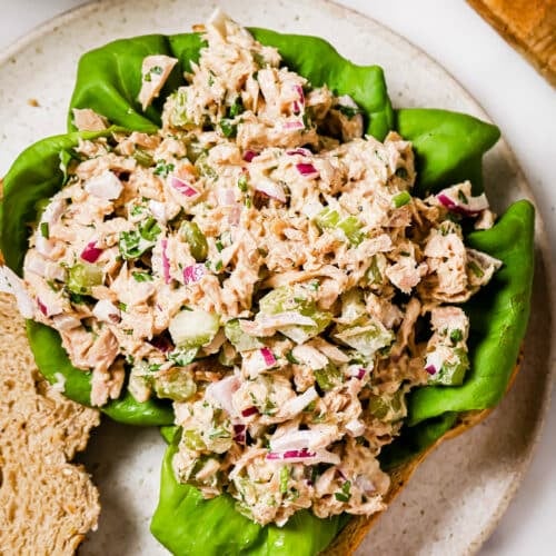 Can You Freeze Tuna Salad With Mayonnaise? Essential Tips Revealed