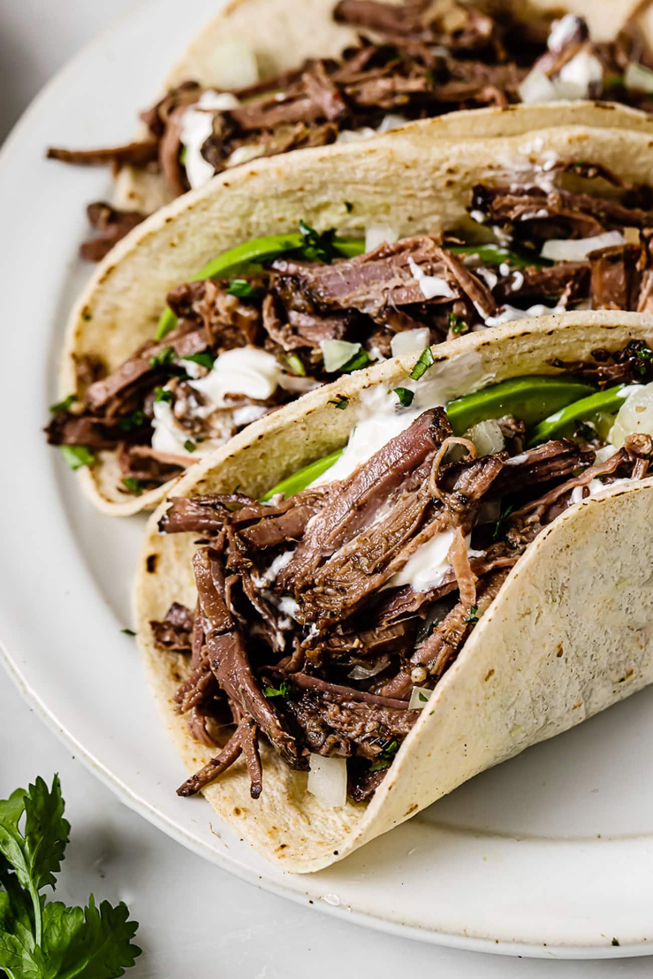 A closeup of barbacoa tacos topped with onions, cilantro, and avocado.