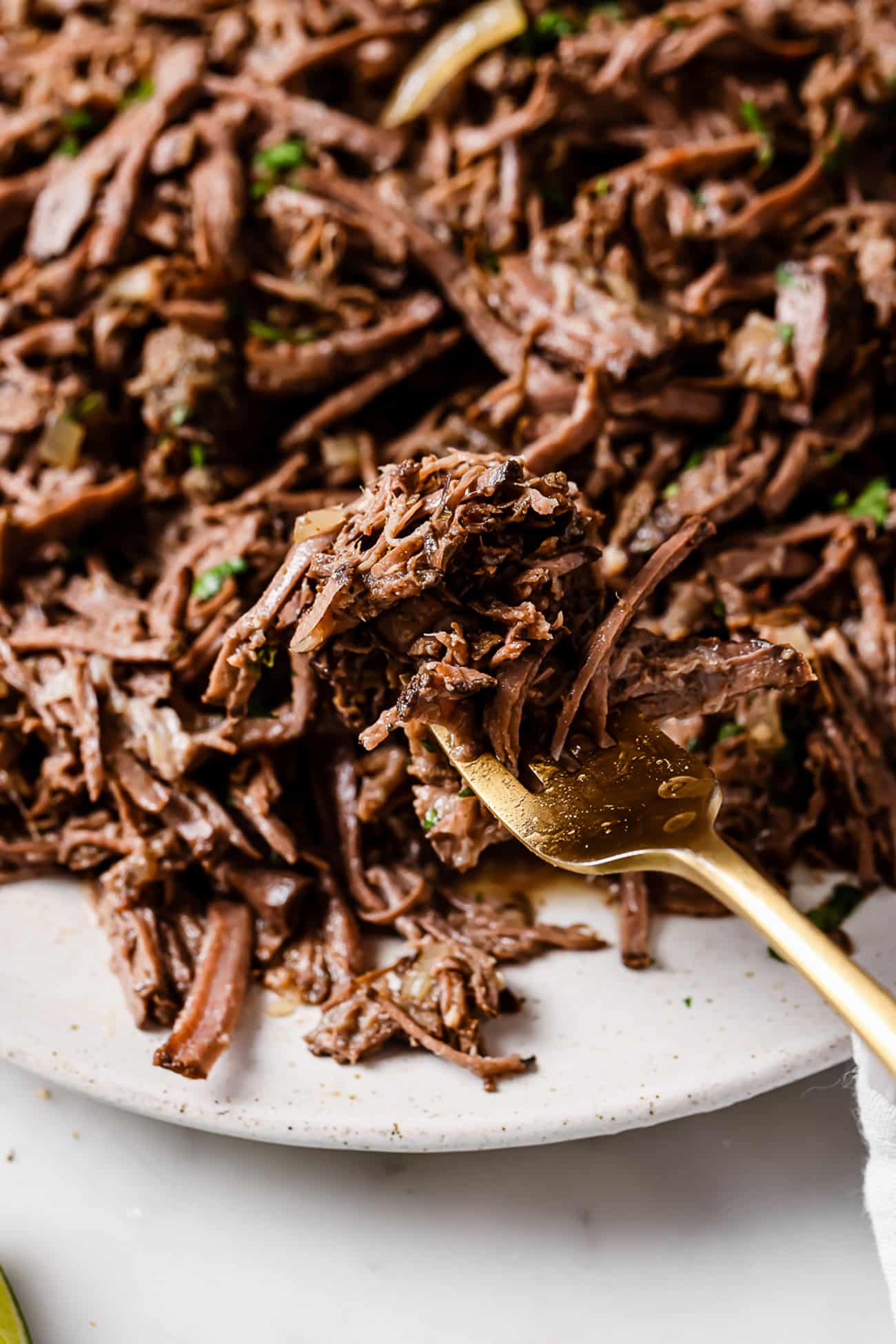 Close-up view of a gold fork with some barbacoa on it.