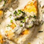 A golden, pan-seared chicken breast topped with sliced mushrooms and chopped herbs sits in a luscious creamy mushroom sauce. More Creamy Mushroom Chicken and sauce are visible around it, garnished with fresh green herbs.
