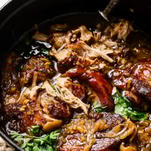 Close-up of Apple Cider Braised Pork Shoulder in a black Dutch oven.