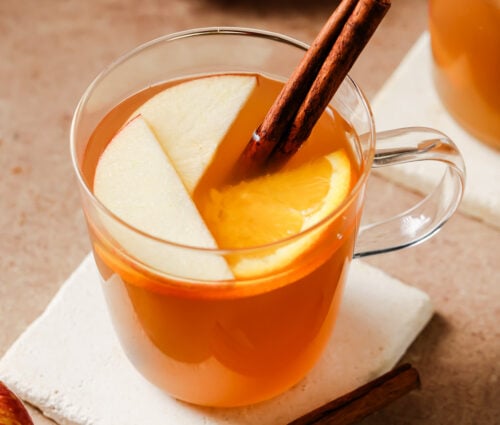 Cup of slow cooker apple cider garnished with a cinnamon stick, apple slices, and orange slices.